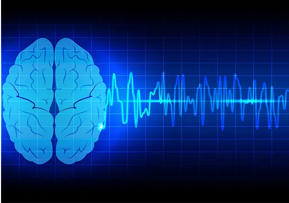 Signals in Brain (BCI)
